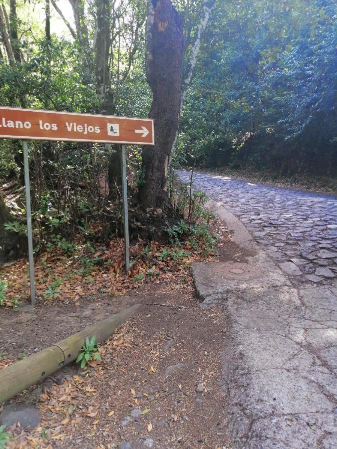 Anaga Y La Laguna A Tus Pies Санта Крус де Тенерифе Екстериор снимка