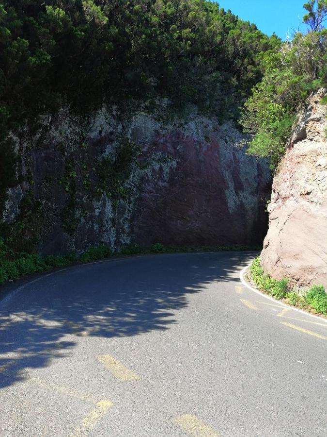 Anaga Y La Laguna A Tus Pies Санта Крус де Тенерифе Екстериор снимка